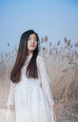 哔哩哔哩bilibili官网入口