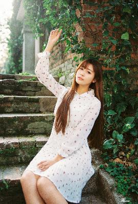 青楼十二房在线观看免费版电视剧全集