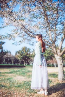 夜莺影院免费高清电视剧在线观看